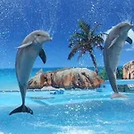 公寓 Deluxe H 阿尔布费拉