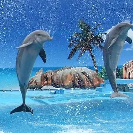 Appartement Deluxe H Albufeira